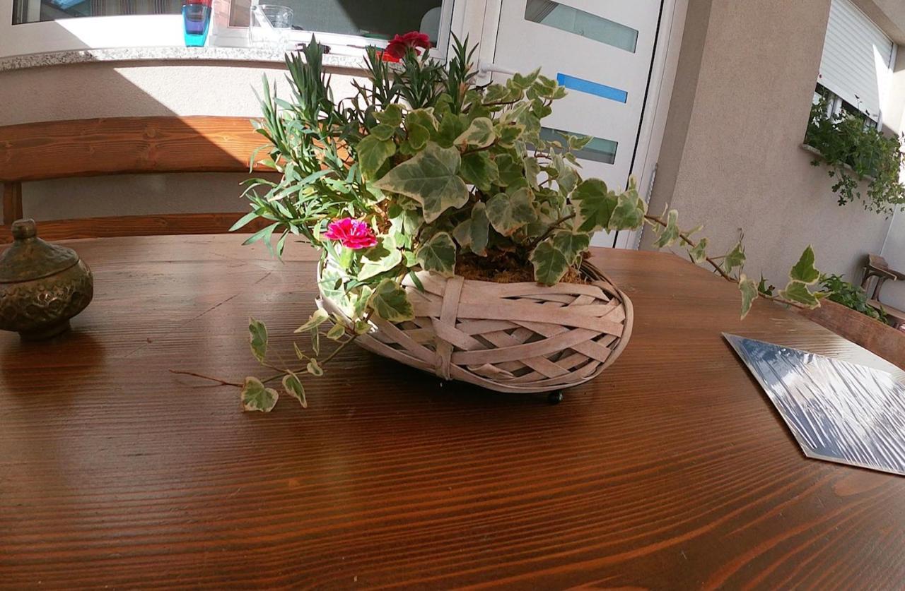 Apartament Tiktok Zadar Zewnętrze zdjęcie